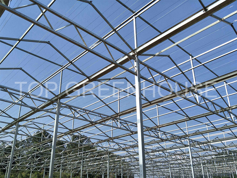Polycarbonate Greenhouse