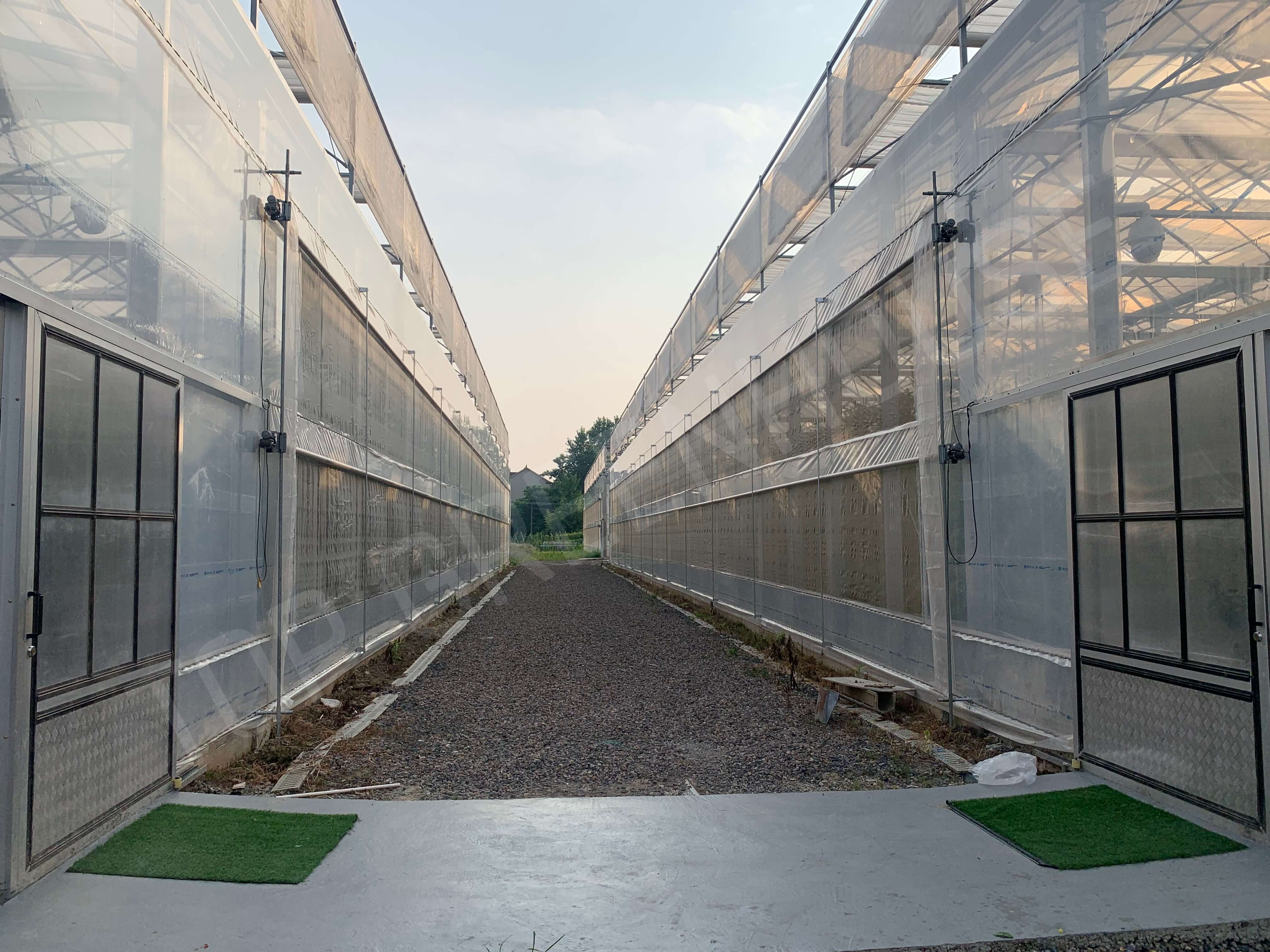 plastic film greenhouse 