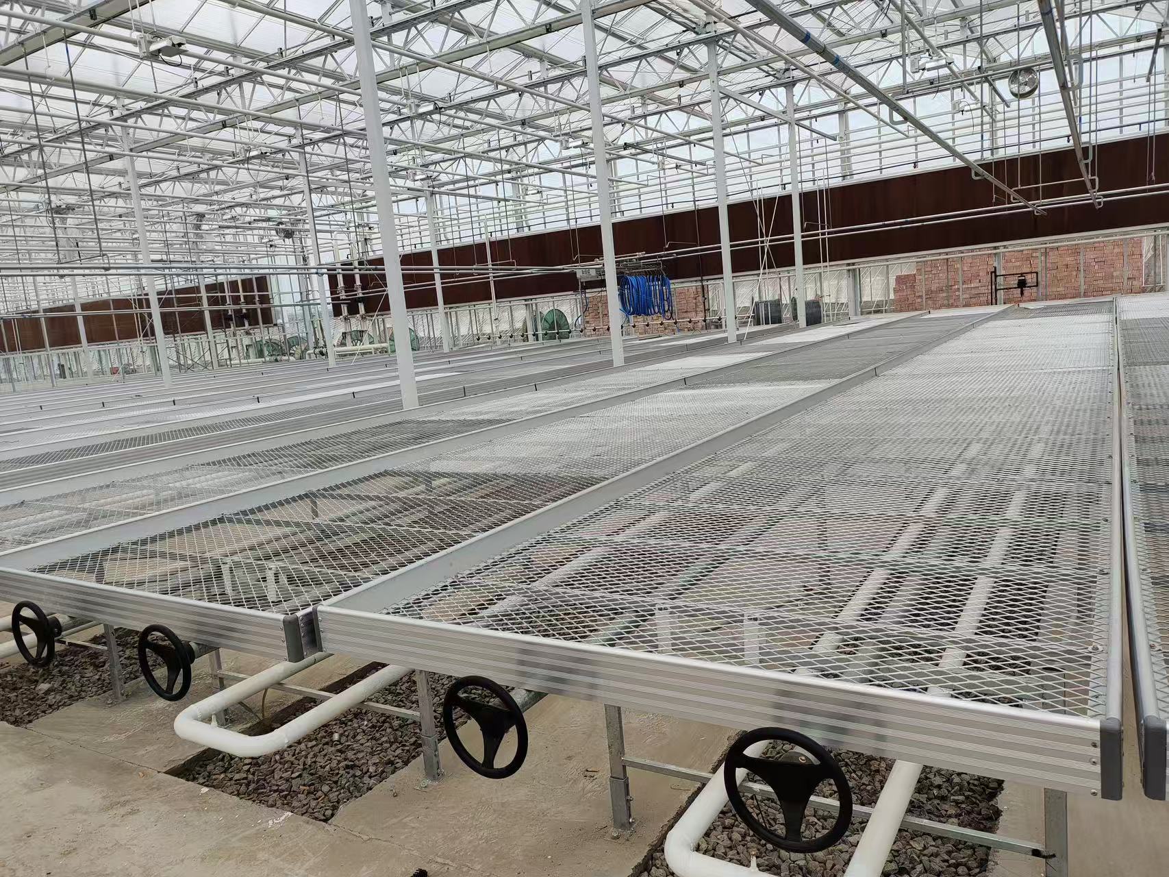 greenhouse rolling bench