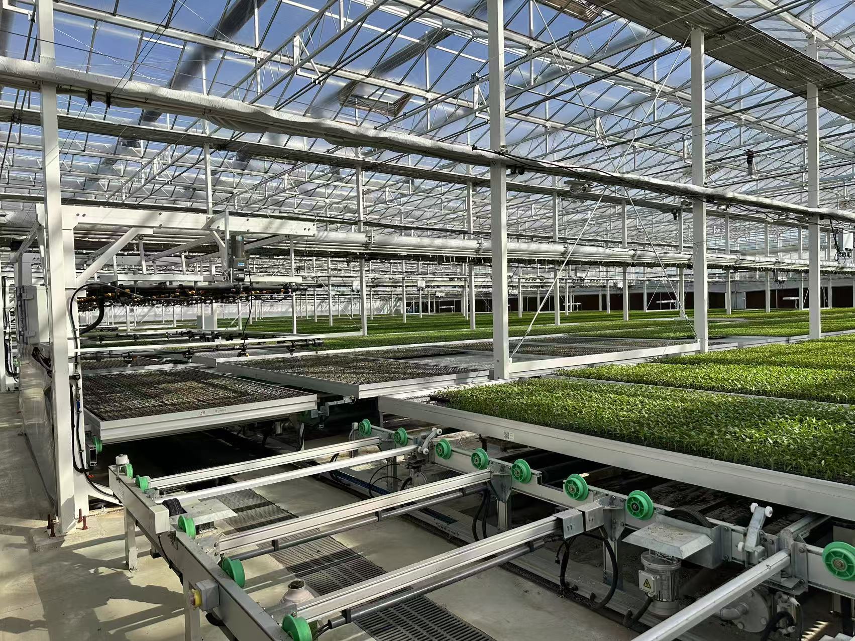 commercial greenhouse